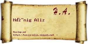 Hönig Aliz névjegykártya